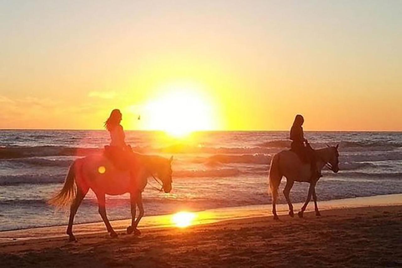 Levante Vejer de la Frontera Bagian luar foto